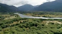 Visuel de Des vignes et des hommes