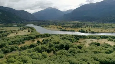 Patagonie : les vignes du bout du monde