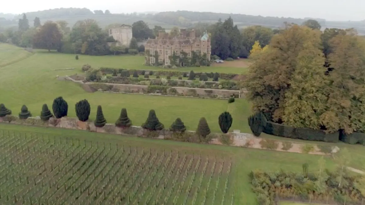 Des vignes et des hommes Angleterre : Un vin en pleine effervescence