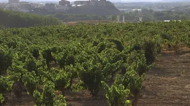 Espagne : La Rioja, les gardiens de la tradition