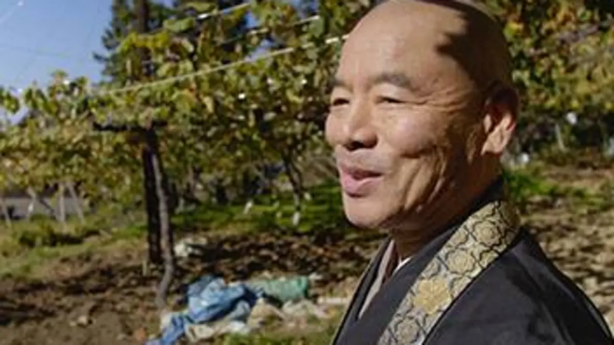 Des vignes et des hommes E10 Japon : Koshu, le vin des pluies