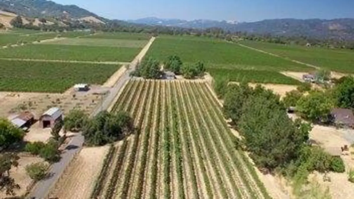 Des vignes et des hommes S01E09 États-Unis : les vignes de la conquête de l'Ouest replay