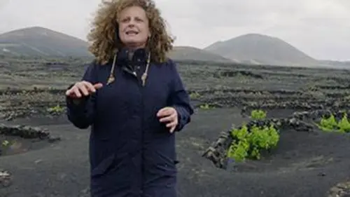 Des vignes et des hommes E04 Lanzarote : le vin des volcans