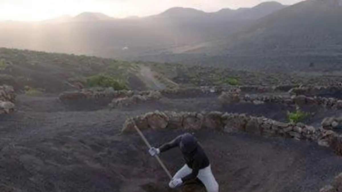 Des vignes et des hommes S01E04 Espagne : Lanzarote, le vin des volcans