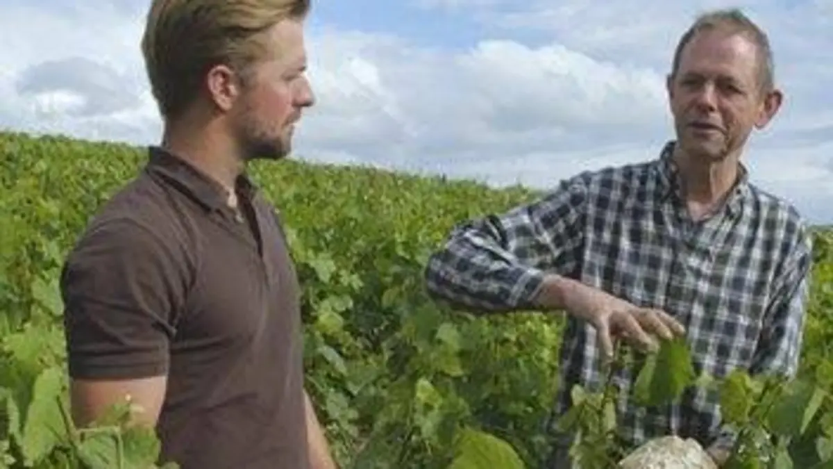 Des vignes et des hommes E11 France : les trésors cachés du champagne