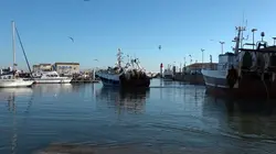 Des voix dans le vent