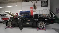 Design auto Peinture fraîche