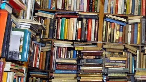 Désordre extrême Sandi & vivian