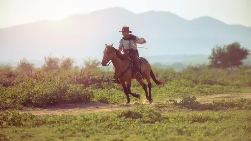 Desperado