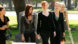 Visuel de Desperate Housewives