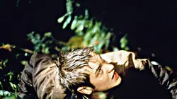 Destination finale en streaming