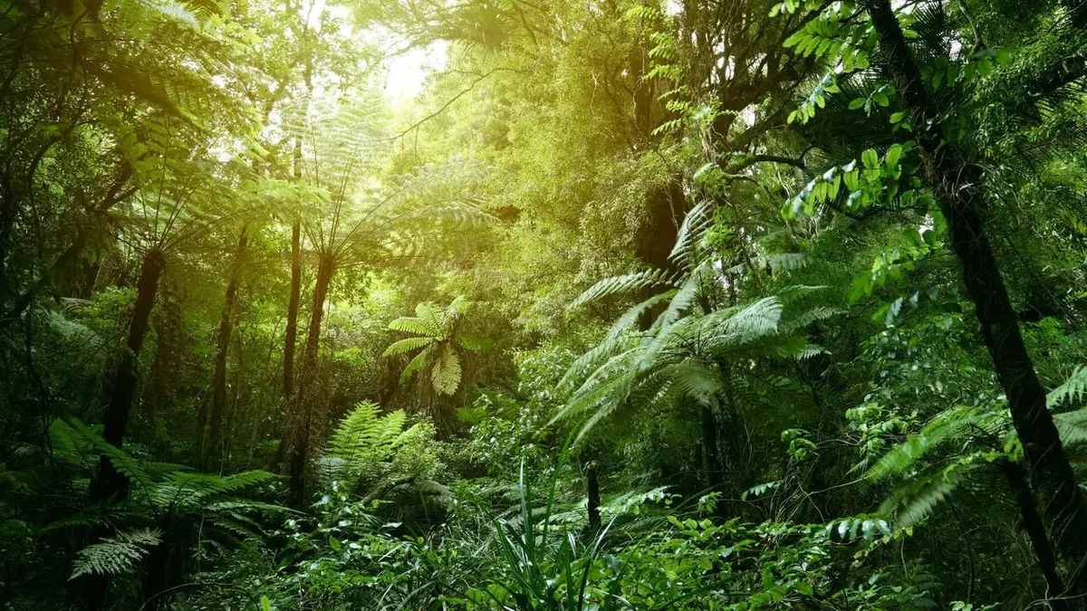 Destination France Trésors de la Côte