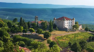 Des terroirs, des châteaux et des vignes