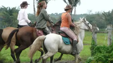 S'adapter pour survivre : entre savane et forêt primaire