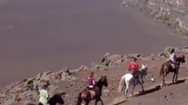 S'adapter pour survivre : un chemin tracé à la machette