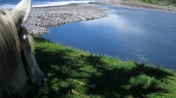 Les cavaliers d'aventure