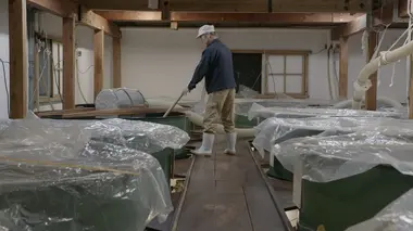 L'automne et l'hiver