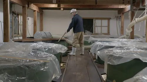 Destination Japon L'automne et l'hiver