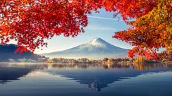 Destination Japon  L'automne et l'hiver