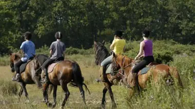 Pour quelques morceaux de marbre rose
