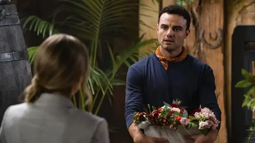 Audiences TV : Destination Love