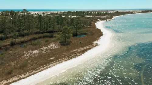 Destination nature : la Floride Le Nord