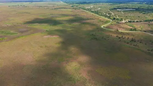 Destination nature : la Floride Le centre
