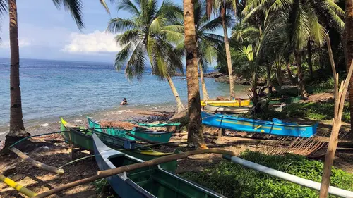 Destination nature : la Floride Le Sud