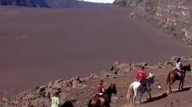 Les chevaux du Pacifique