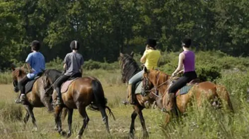Casting Les cavaliers d'aventure E01 Le battement de coeur de la mère terre