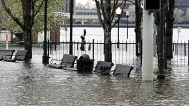 Le Mississippi à l'état sauvage : en eaux troubles