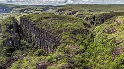 Visuel de Destination Wild