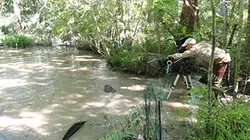 Visuel de Mississippi sauvage
