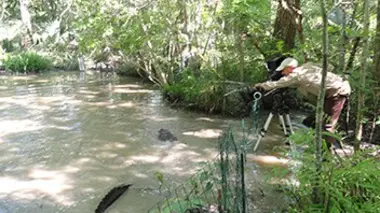 Le Mississippi à l'état sauvage : le blues du delta