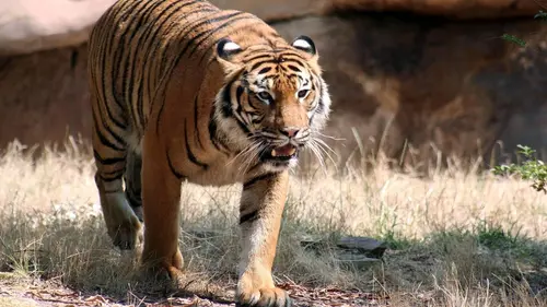 24 heures dans la nature S02E00 L'été indien