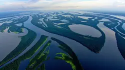 Destination Wild : Amazonie Le règne des prédateurs