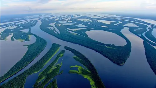 Destination Wild : Amazonie Le règne des prédateurs