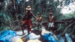 Destination Wild : Amazonie  Bataille dans la canopée