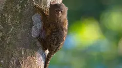 Destination Wild : Colombie