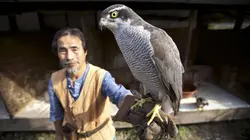 Corée sauvage S01E02 Au-delà des frontières