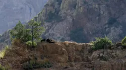 Visuel de Destination Wild : Déserts d'Amérique