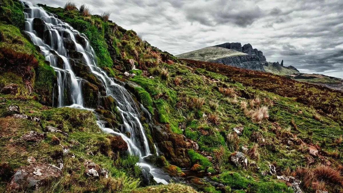 Destination Wild: L'Écosse à l'état sauvage