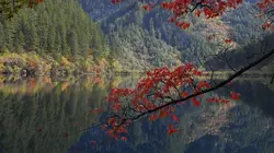 Destination Wild : La Chine sauvage