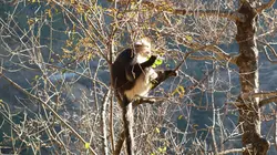 Destination Wild : La Chine sauvage