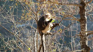 Les mille visages du Yunnan