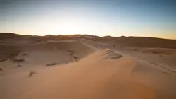 Destination Wild : les merveilles de l'Afrique