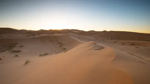 Destination Wild : les merveilles de l'Afrique Le Sahara