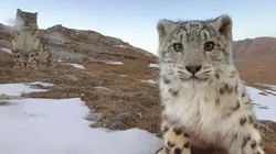 Destination Wild : Les merveilles de la Chine