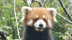 Destination Wild : Les merveilles de la Chine