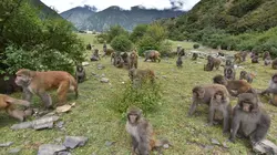 Destination Wild : Les merveilles de la Chine